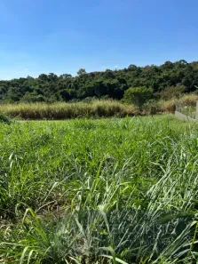 Lote/Terreno à venda, 1600m² no Terras de Itaici, Indaiatuba