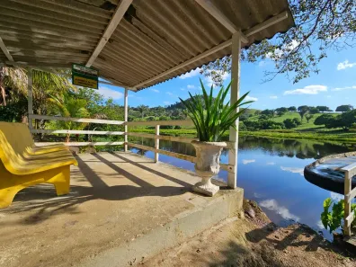 Fazenda/Sítio com 3 Quartos à venda, 150000m² no , Viçosa