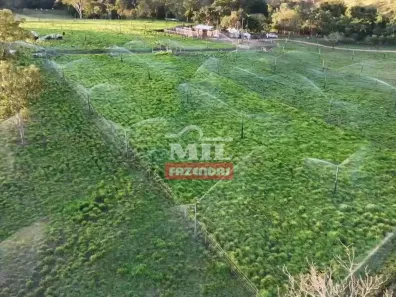 Fazenda/Sítio à venda, 500m² no , Itapuranga