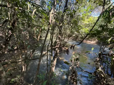 Fazenda/Sítio com 2 Quartos à venda, 20000m² no Residencial Tocantins, Goianira