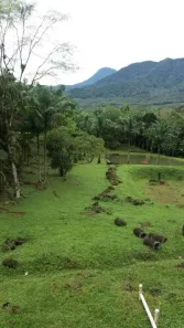 Lote/Terreno à venda, 912000m² no Pirabeiraba (Pirabeiraba), Joinville