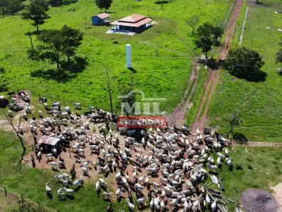 Fazenda/Sítio à venda, 500m² no , Ribeirão Cascalheira