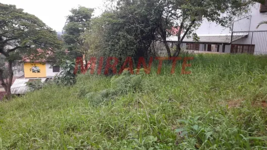 Lote/Terreno à venda, 416m² no Horto Florestal, São Paulo