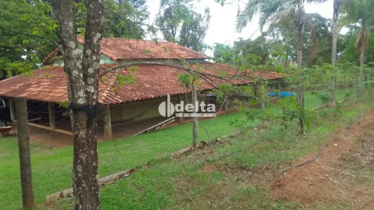 Fazenda/Sítio com 2 Quartos à venda, 280m² no Jardim Patrícia, Uberlândia