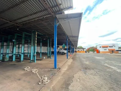Galpão/Depósito/Armazém para alugar, 800m² no Vila Toninho, São José do Rio Preto