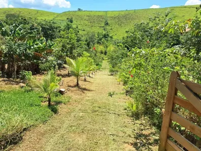 Fazenda/Sítio à venda, 24200m² no Área Rural de Lorena, Lorena