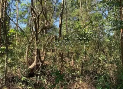 Lote/Terreno à venda, 4090m² no São Sebastião das Águas Claras, Nova Lima