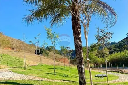 Lote/Terreno à venda, 1000m² no , Sapucaia