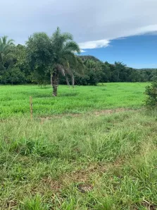 Fazenda/Sítio com 1 Quarto à venda, 1m² no , Alto Boa Vista