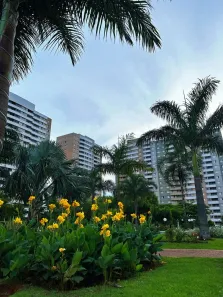 Apartamento com 2 Quartos para alugar, 63m² no Ceilândia Norte, Brasília