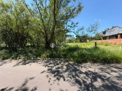 Lote/Terreno à venda, 450m² no Morada Gaúcha, Gravataí