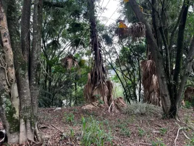 Lote/Terreno à venda, 1328m² no Residencial Tamboré, Barueri