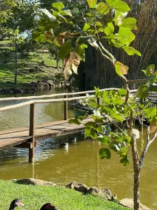 Lote/Terreno à venda, 1440m² no , Santo Amaro da Imperatriz