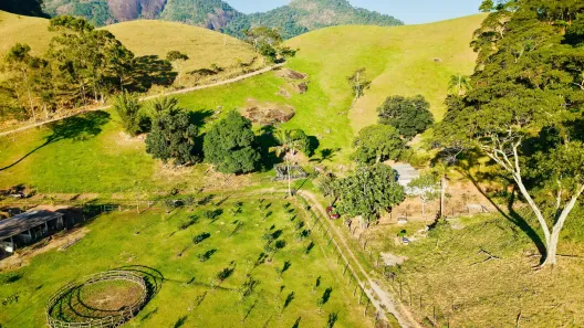 Fazenda/Sítio com 3 Quartos à venda, 242000m² no Rocha Leão, Rio das Ostras
