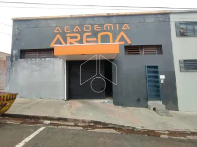 Galpão/Depósito/Armazém para alugar, 300m² no Alto Cafezal, Marília