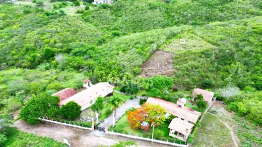 Fazenda/Sítio com 3 Quartos à venda, 70000m² no Ebenezer, Gravatá