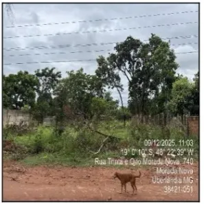Lote/Terreno à venda, 1000m² no Morada Nova, Uberlândia
