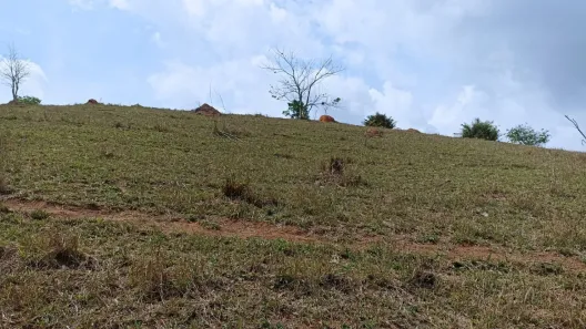 Fazenda/Sítio com 1 Quarto à venda, 10m² no , Paraibuna