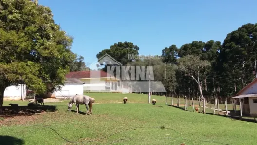 Galpão/Depósito/Armazém à venda, 3600m² no Centro, Castro
