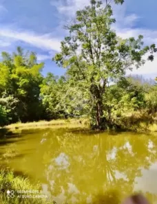 Fazenda/Sítio com 3 Quartos à venda, 36m² no , São Miguel do Passa Quatro