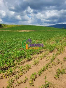 Fazenda/Sítio com 1 Quarto à venda, 1669800m² no Caldas, Caldas