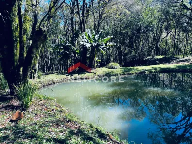 Fazenda/Sítio com 1 Quarto à venda, 20000m² no Centro, São Francisco de Paula