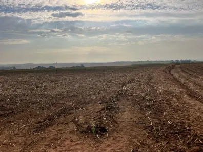 Lote/Terreno à venda, 72000m² no Santo Antônio do Sapezeiro, Santa Bárbara D'Oeste