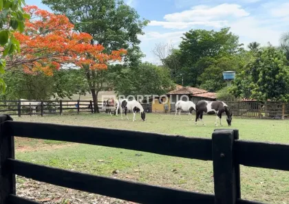 Fazenda/Sítio com 4 Quartos à venda, 1000000m² no ,