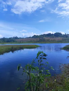 Fazenda/Sítio com 4 Quartos à venda, 2600000m² no , Macaíba