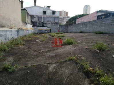 Lote/Terreno para alugar, 210m² no Vila Mariza Mazzei, São Paulo