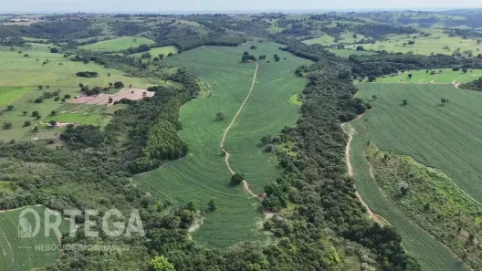 Fazenda/Sítio à venda, 1379000m² no CDA, Assis