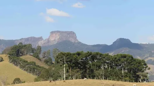Lote/Terreno à venda, 47000m² no Zona Rural, Gonçalves