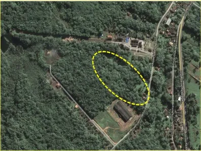 Lote/Terreno à venda, 13642m² no Das Laranjeiras, São Francisco do Sul
