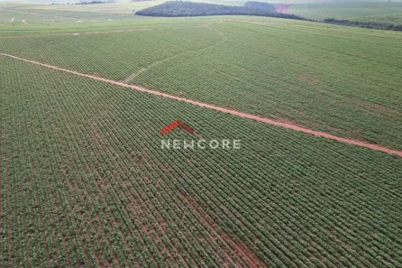 Fazenda/Sítio com 1 Quarto à venda, 731000000m² no , Jaguapitã