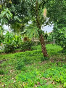 Lote/Terreno à venda, 300m² no Itaipu, Niterói