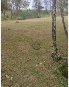 Lote/Terreno à venda, 60500m² no , Pedreira