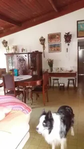 Casa com 5 Quartos à venda, 400m² no Vila Santista, Atibaia
