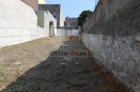 Lote/Terreno para venda ou aluguel, 359m² no Vila Tolstoi, São Paulo