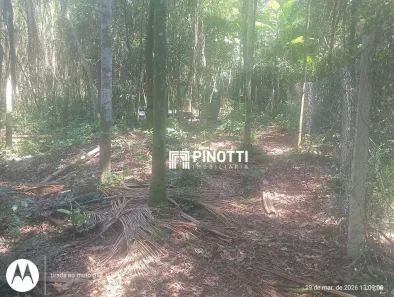 Lote/Terreno à venda, 5000m² no Dos Finco, São Bernardo do Campo