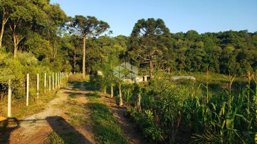 Fazenda/Sítio com 2 Quartos à venda, 20000m² no , Garibaldi