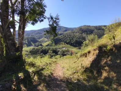 Lote/Terreno à venda, 151250m² no Garcia, Angelina
