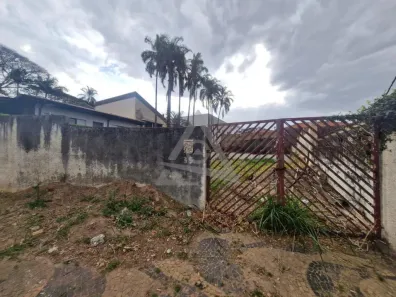 Lote/Terreno para alugar, 379m² no Nova Campinas, Campinas