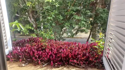 Sobrado com 4 Quartos à venda, 300m² no Jardim das Bandeiras, São Paulo