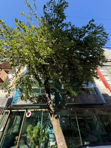 Apartamento com 3 Quartos à venda, 110m² no Jardim da Penha, Vitória