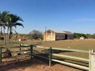 Fazenda/Sítio com 3 Quartos à venda, 600m² no Flórida Paulista, Flórida Paulista