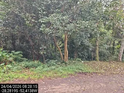 Lote/Terreno à venda, 3117m² no Vila Luiza, Passo Fundo