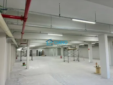 Prédio Comercial para venda ou aluguel, 4200m² no Cambuci, São Paulo