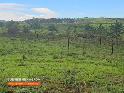 Imóvel Comercial com 1 Quarto à venda, 60591m² no Campo das Antas, Poços de Caldas