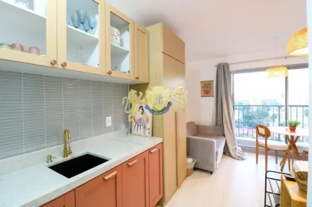 Flat com 1 Quarto para alugar, 24m² no Vila Cordeiro, São Paulo