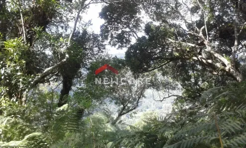 Lote/Terreno à venda, 2632m² no Centro, São Francisco de Paula
